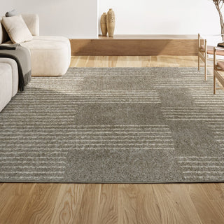 Petra Abstract Stripe Geometric Shag Area Rug