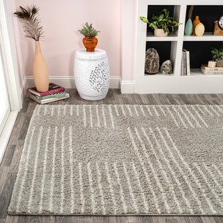 Petra Abstract Stripe Geometric Shag Area Rug