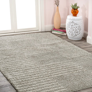 Petra Abstract Stripe Geometric Shag Area Rug
