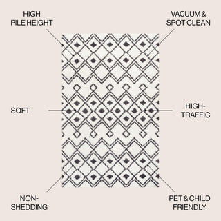Caimari Moroccan Diamond Shag Area Rug