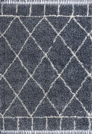 Mercer Shag Plush Tassel Moroccan Geometric Trellis Area Rug - JONATHAN Y