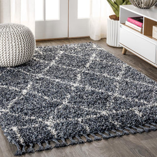 Mercer Shag Plush Tassel Moroccan Geometric Trellis Area Rug - JONATHAN Y
