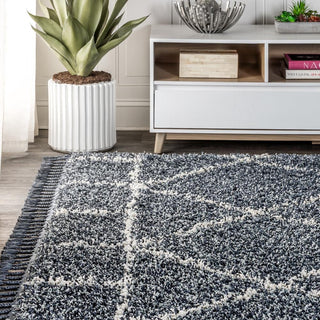 Mercer Shag Plush Tassel Moroccan Geometric Trellis Area Rug - JONATHAN Y