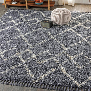 Mercer Shag Plush Tassel Moroccan Tribal Geometric Trellis Area Rug - JONATHAN Y