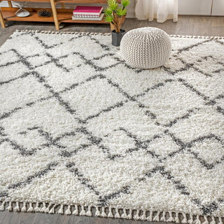 Mercer Shag Plush Tassel Moroccan Tribal Geometric Trellis Area Rug - JONATHAN Y