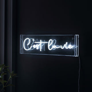C'est La Vie Contemporary Glam Acrylic Box USB Operated LED Neon Light - JONATHAN Y