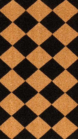 Paige Modern Classic Diamond-patterned Coir Area Rug