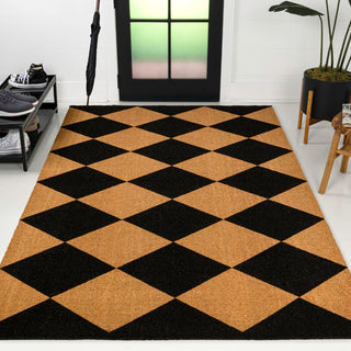 Paige Modern Classic Diamond-patterned Coir Area Rug
