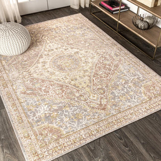 Petras Modern Ornate Medallion Area Rug - JONATHAN Y