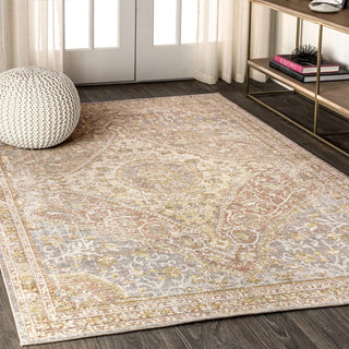 Petras Modern Ornate Medallion Area Rug - JONATHAN Y