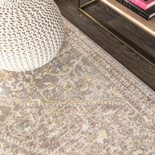 Petras Modern Ornate Medallion Area Rug - JONATHAN Y