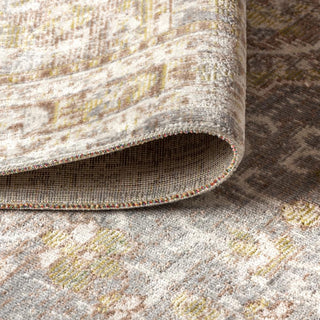 Petras Modern Ornate Medallion Area Rug - JONATHAN Y