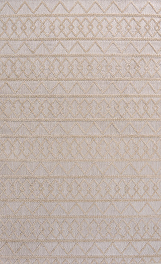 Aylan High-low Pile Knotted Trellis Geometric Indoor/outdoor Area Rug