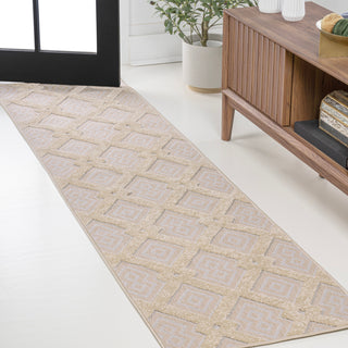 Duwun High-low Pile Ogee Trellis Tone-on-tone Indoor/outdoor Area Rug - JONATHAN Y