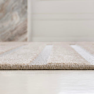Anders High-Low MidCentury Modern Arch Stripe Two-Tone Indoor/Outdoor Area Rug