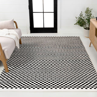 Finn High-Low Modern Minimalist Checkered Monotone Indoor/Outdoor Area Rug