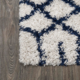Algaida Moroccan Diamond Shag Area Rug