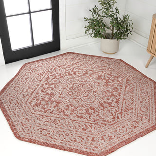 Sinjuri Medallion Textured Weave Indoor/outdoor Octagon Rug
