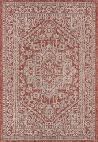 Sinjuri Medallion Textured Weave Indoor/outdoor Area Rug