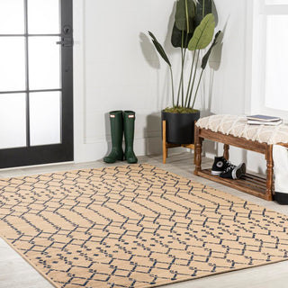 Ourika Moroccan Geometric Textured Weave Indoor/outdoor Area Rug