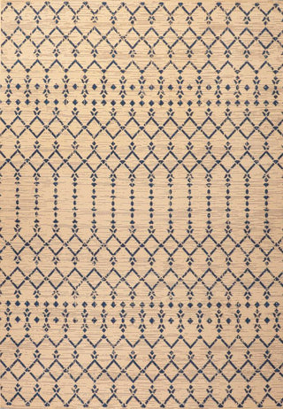 Ourika Moroccan Geometric Textured Weave Indoor/outdoor Area Rug
