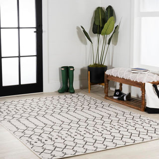 Ourika Moroccan Geometric Textured Weave Indoor/outdoor Area Rug