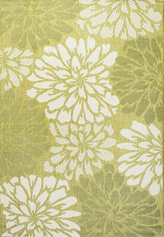 Zinnia Modern Floral Textured Weave Indoor/outdoor Area Rug