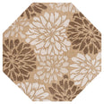 Brown/Cream