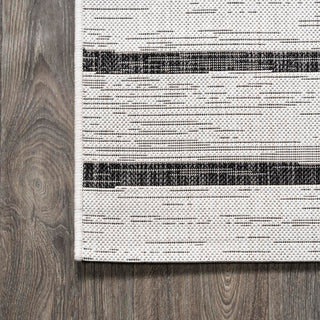 Colonia Berber Stripe Indoor/outdoor Area Rug