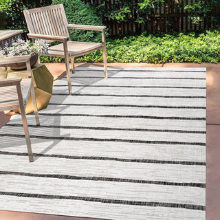 Colonia Berber Stripe Indoor/outdoor Area Rug