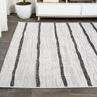 Colonia Berber Stripe Indoor/outdoor Area Rug