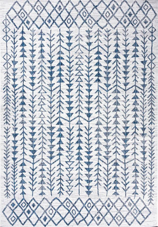 Tokay Bohemian Geometric Indoor/outdoor Area Rug