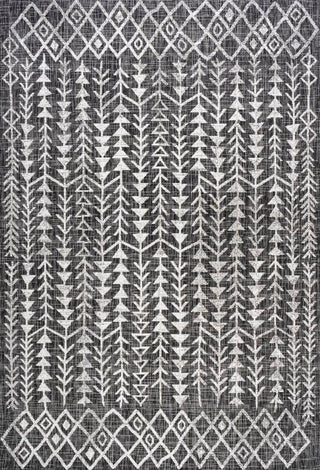 Tokay Bohemian Geometric Indoor/outdoor Area Rug