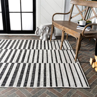 Sukie Modern Offset Stripe Indoor/outdoor Area Rug