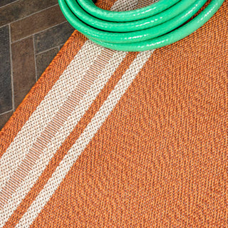 James Modern Border Stripe Indoor/outdoor Area Rug