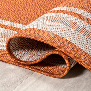 James Modern Border Stripe Indoor/outdoor Area Rug