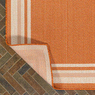 James Modern Border Stripe Indoor/outdoor Area Rug