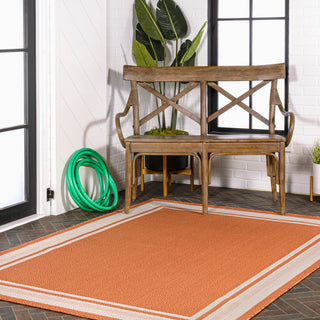 James Modern Border Stripe Indoor/outdoor Area Rug