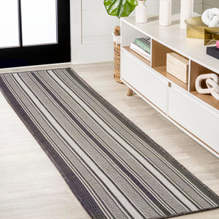 Haynes Modern Double Stripe Indoor/outdoor Area Rug