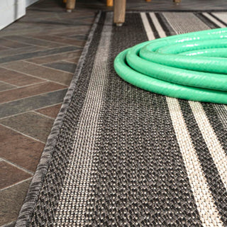 Haynes Modern Double Stripe Indoor/outdoor Area Rug
