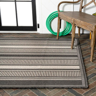 Haynes Modern Double Stripe Indoor/outdoor Area Rug - JONATHAN Y