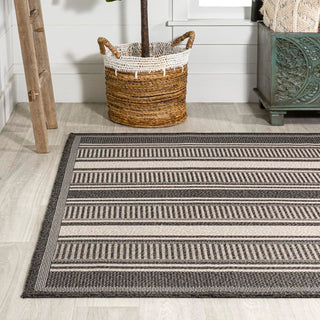 Haynes Modern Double Stripe Indoor/outdoor Area Rug - JONATHAN Y