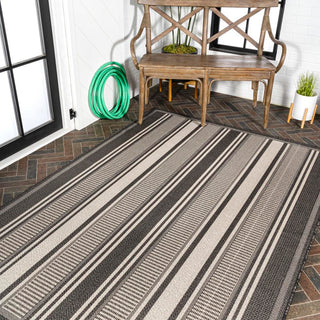 Haynes Modern Double Stripe Indoor/outdoor Area Rug