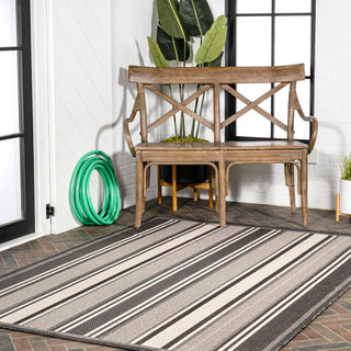 Haynes Modern Double Stripe Indoor/outdoor Area Rug