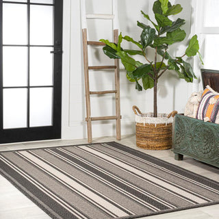 Haynes Modern Double Stripe Indoor/outdoor Area Rug - JONATHAN Y