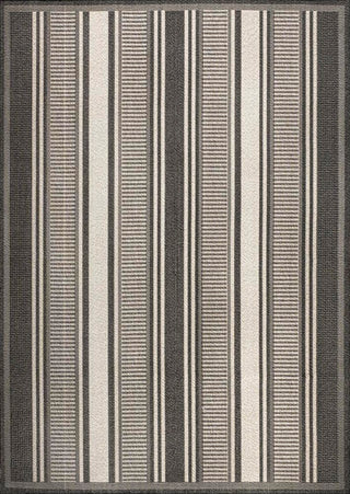 Haynes Modern Double Stripe Indoor/outdoor Area Rug - JONATHAN Y