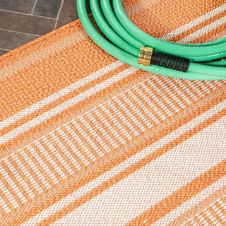 Haynes Modern Double Stripe Indoor/outdoor Area Rug