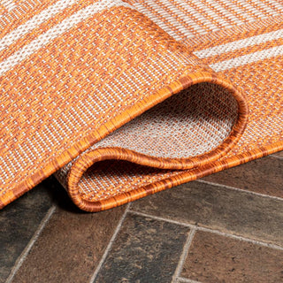Haynes Modern Double Stripe Indoor/outdoor Area Rug