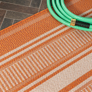 Haynes Modern Double Stripe Indoor/outdoor Area Rug