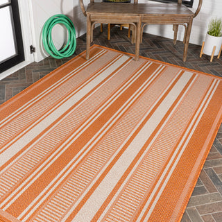 Haynes Modern Double Stripe Indoor/outdoor Area Rug